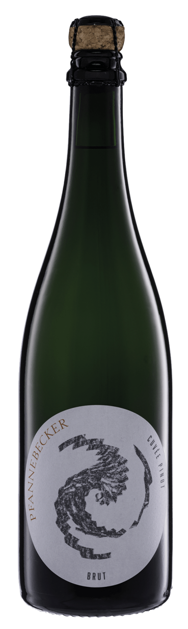 Pfannebecker Sekt Cuveé Pinot Brut