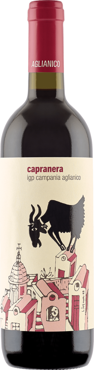 San Salvatore Capranera Aglianico