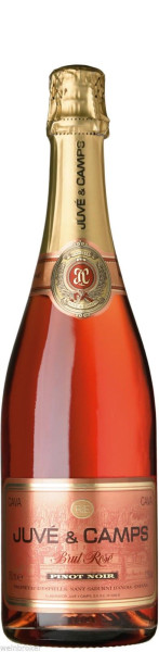Juve y Camps Cava Brut Rosé Pinot Noir