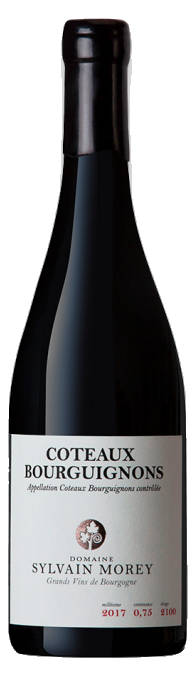 Domaine Sylvain Morey Coteaux Bourguignons
