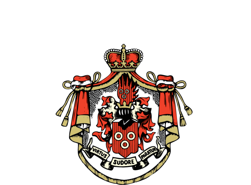 Graf Neipperg