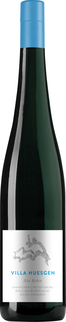 Villa Huesgen Enkircher Steffensberg Riesling Alte Reben Wurzelecht trocken