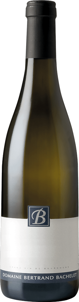 Domaine Bertrand Bachelet Chassagne Montrachet blanc