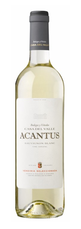 Bodegas Olarra Acantus Sauvignon Blanc