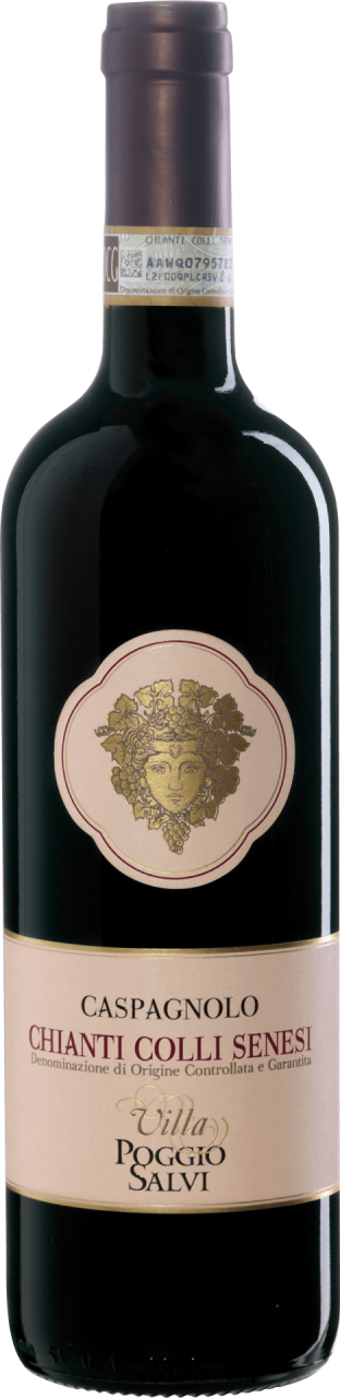 Villa Poggio Salvi Caspagnolo Chianti Colli Senesi DOCG