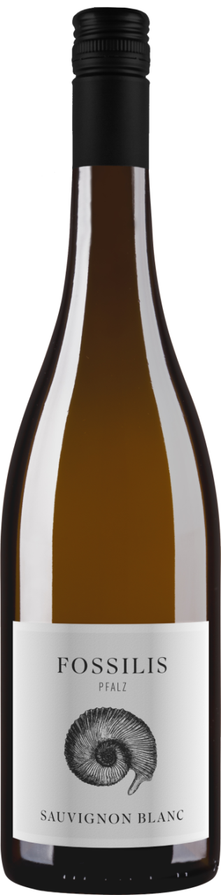 Fossilis Sauvignon Blanc trocken