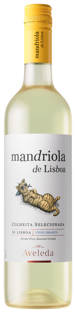 Mandriola de Lisboa Branco