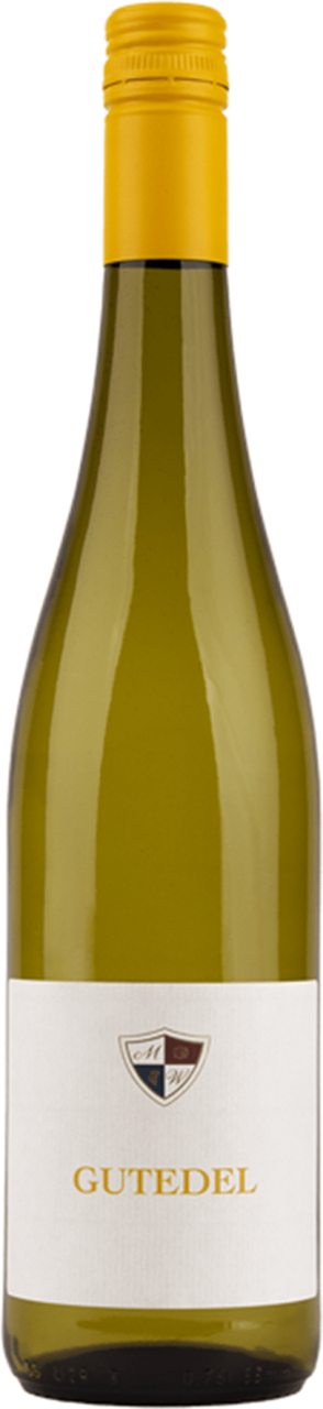 Martin Waßmer Gutedel Qualitätswein trocken