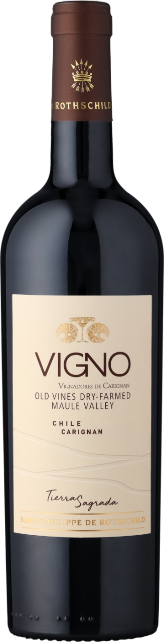 Baron Philippe de Rothschild (Chile) Tierra Sagrada Vigno Carignan