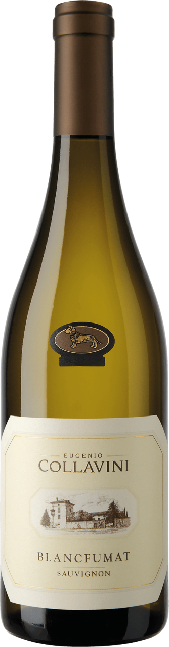Collavini Sauvignon Blancfumat Collio DOC