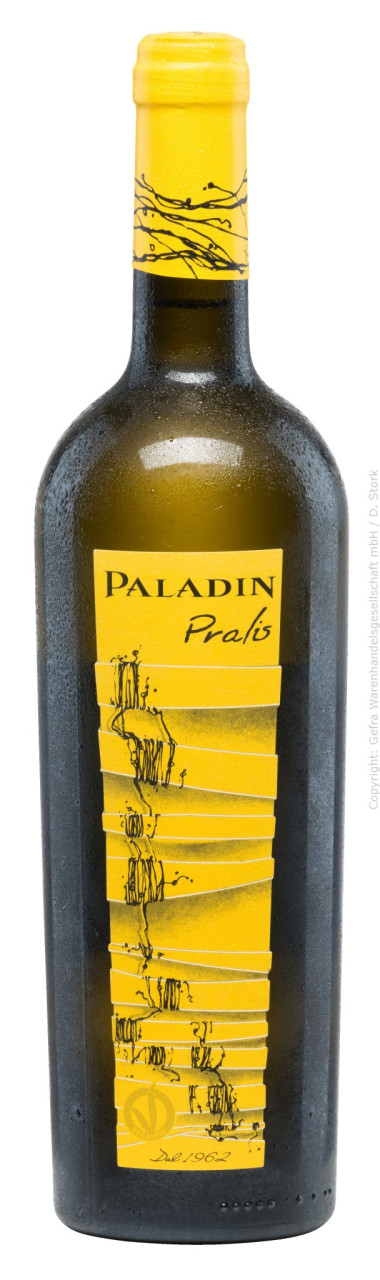 Paladin Pralis